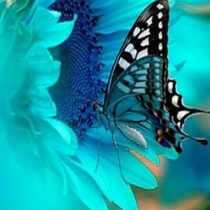 Meet your Posher, Deborah